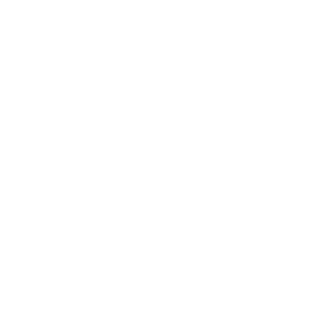 Bašelj klima
